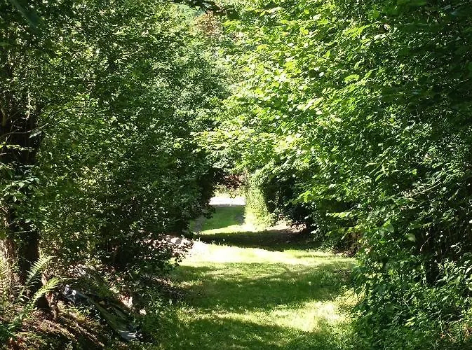 Les Tonneaux De * Lisores